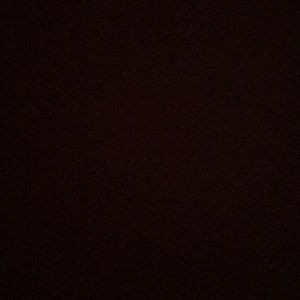 Meet your Posher, Lily